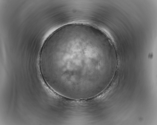 X0000090910952200708131410