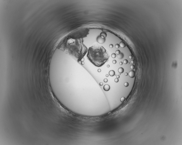 X0000090910953200708131410