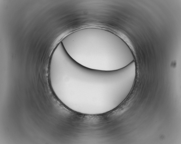 X0000090910954200708131410