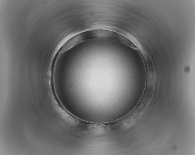 X0000090910955200708131410