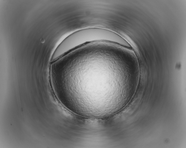 X0000090910956200708131410