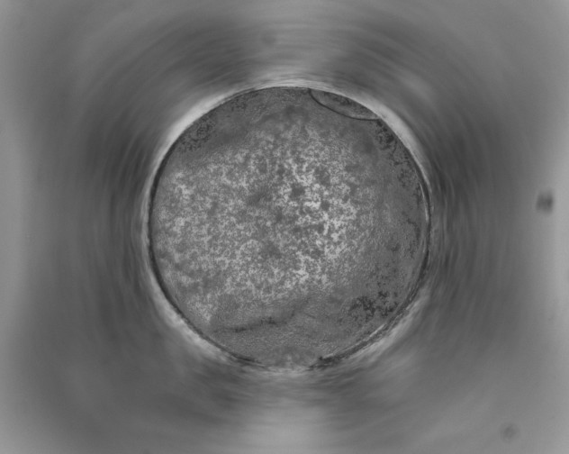 X0000090910957200708131410