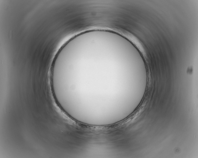 X0000090910958200708131410