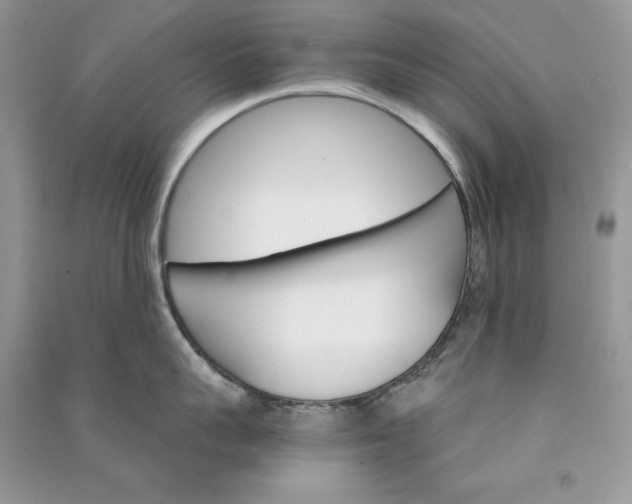 X0000090910959200708131410