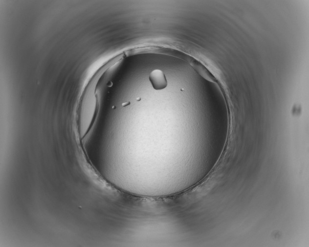 X0000090910960200708131410