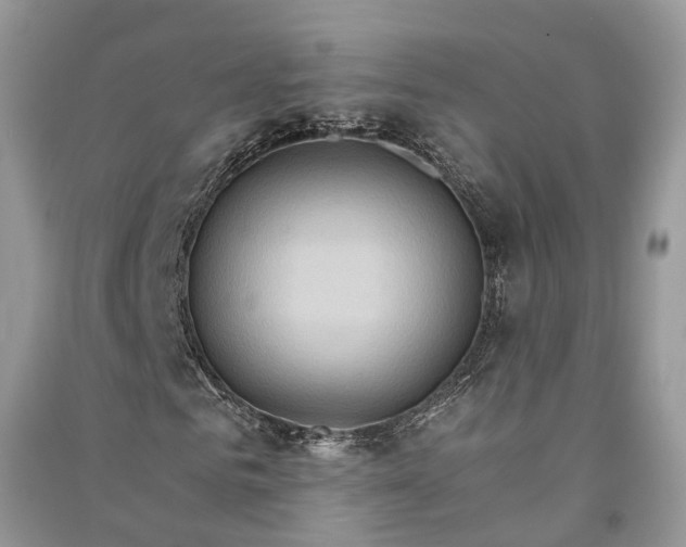 X0000090910961200708131409