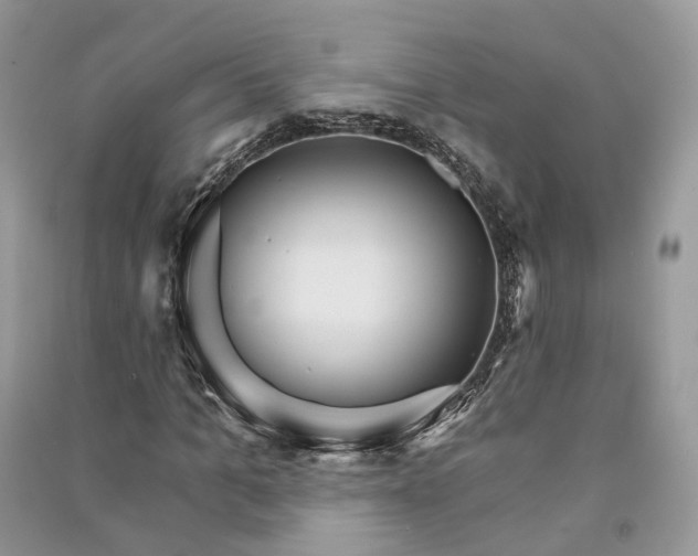 X0000090910965200708131409