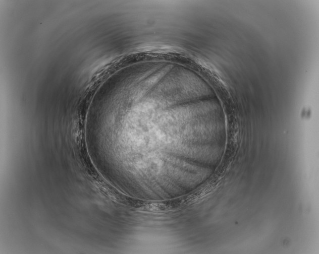 X0000090910966200708131409