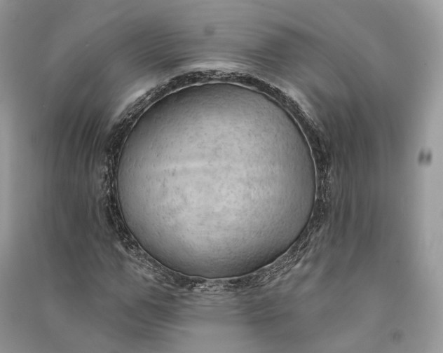 X0000090910967200708131409