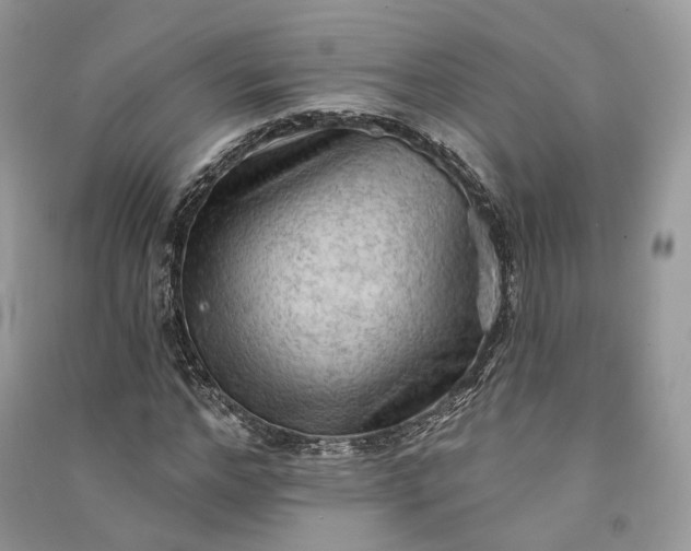 X0000090910968200708131409