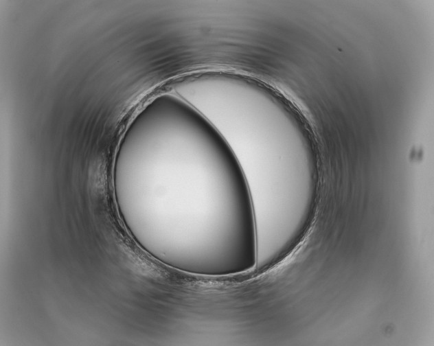 X0000090910969200708131409