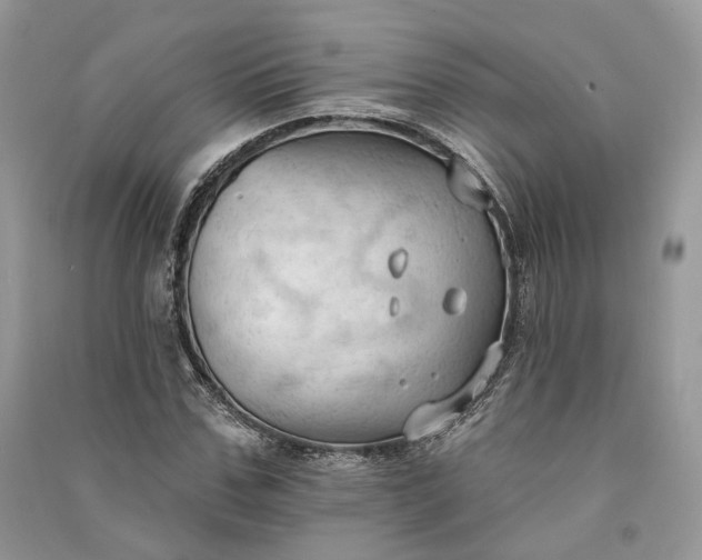 X0000090910971200708131409