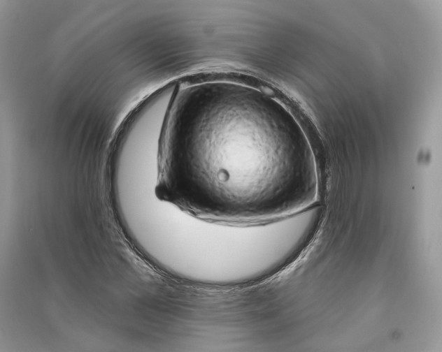 X0000090910973200708131409