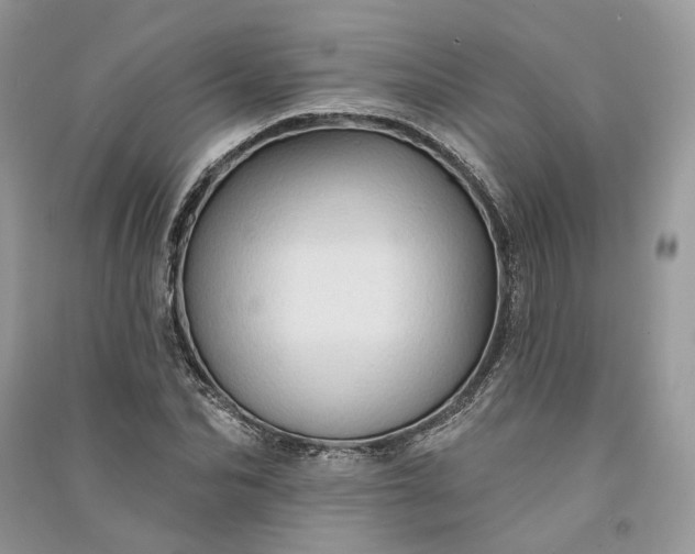 X0000090910974200708131409