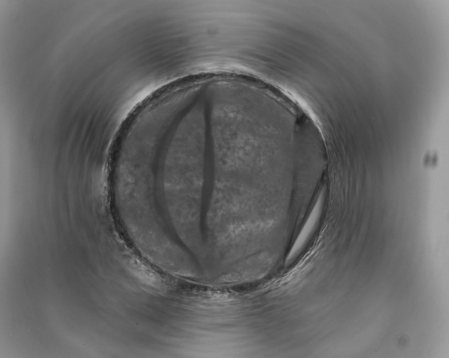 X0000090910975200708131409