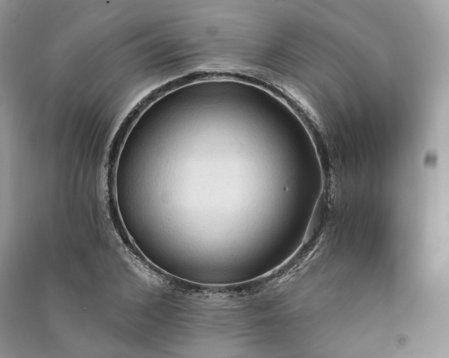 X0000090910976200708131409