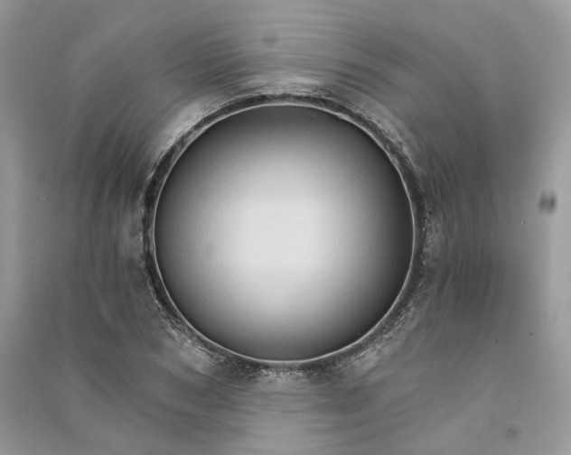 X0000090910978200708131409