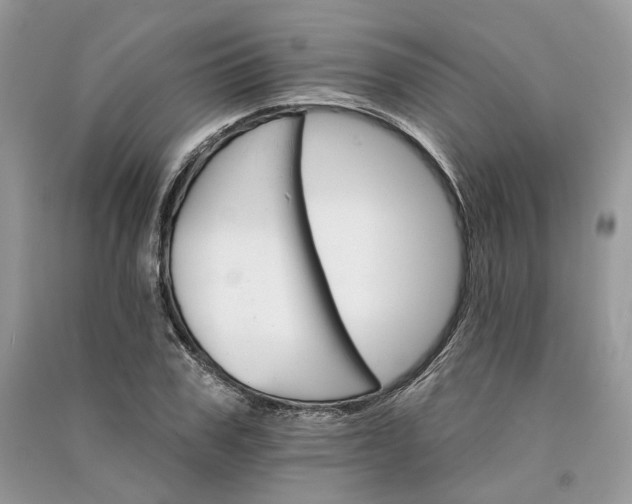 X0000090910979200708131409