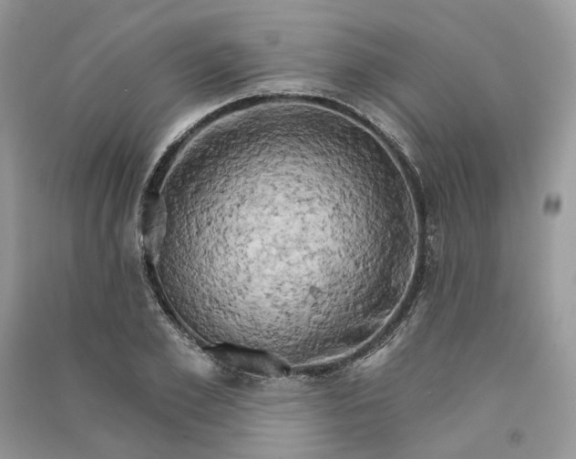 X0000090910981200708131409