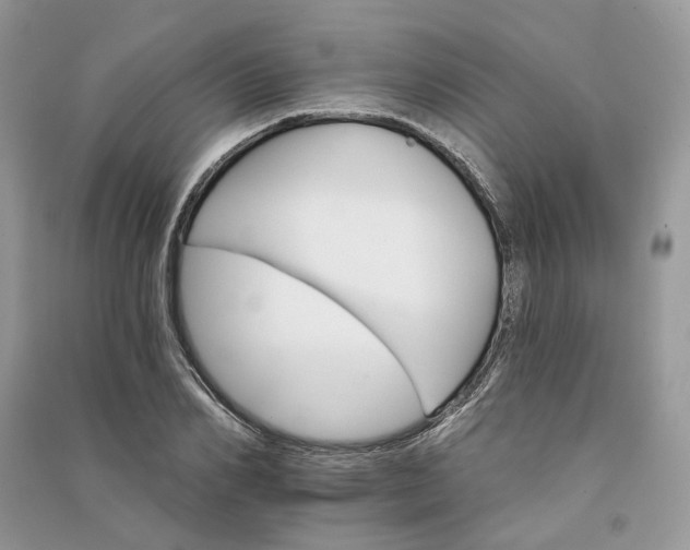 X0000090910982200708131409