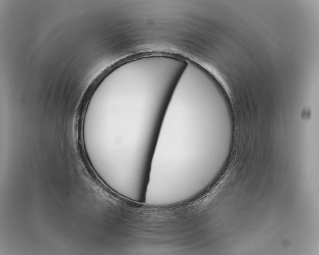 X0000090910983200708131409