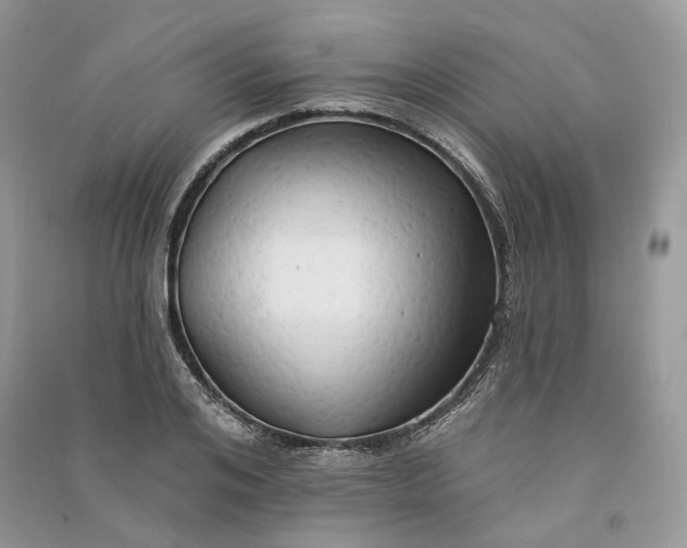 X0000090910984200708131409