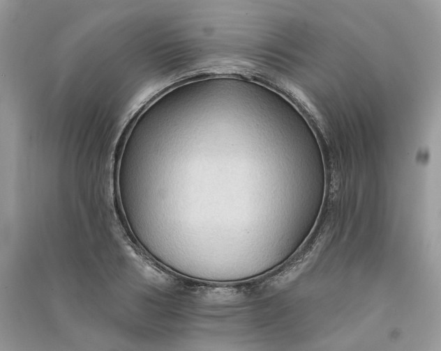 X0000090910986200708131409