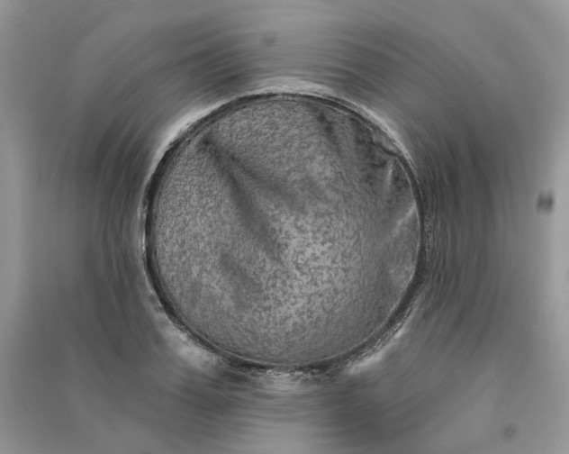 X0000090910987200708131409