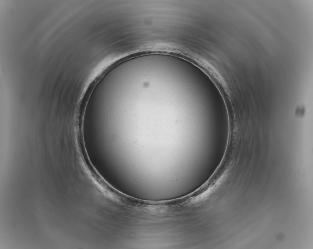 X0000090910989200708131409