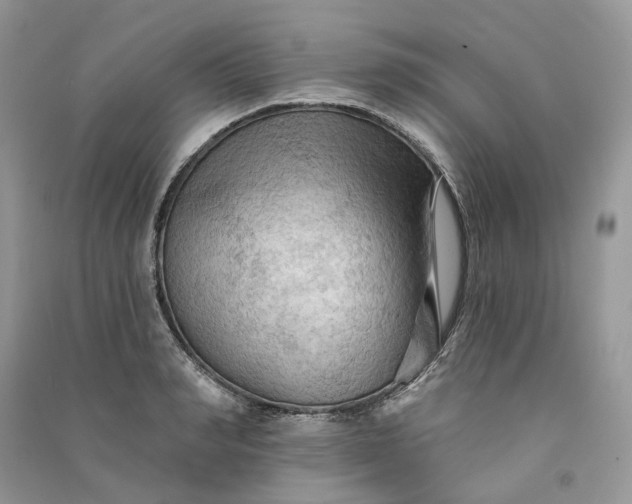 X0000090910990200708131409