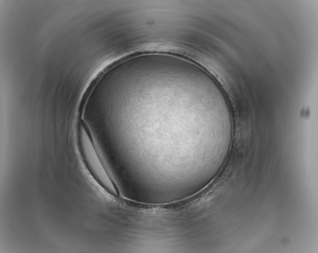 X0000090910992200708131409