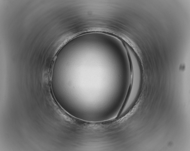 X0000090910993200708131409