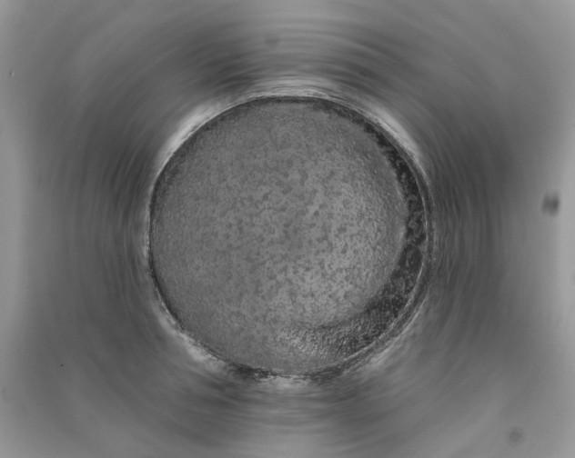 X0000090910994200708131409