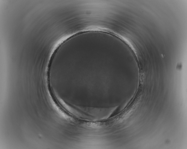 X0000090910995200708131409