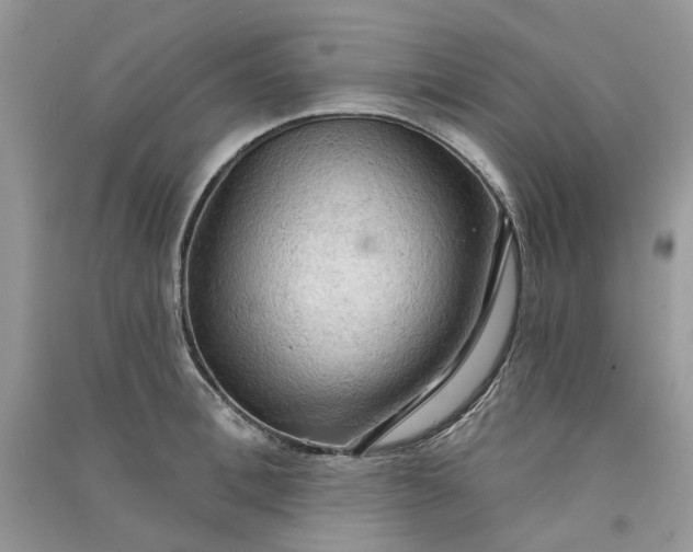 X0000090910996200708131409