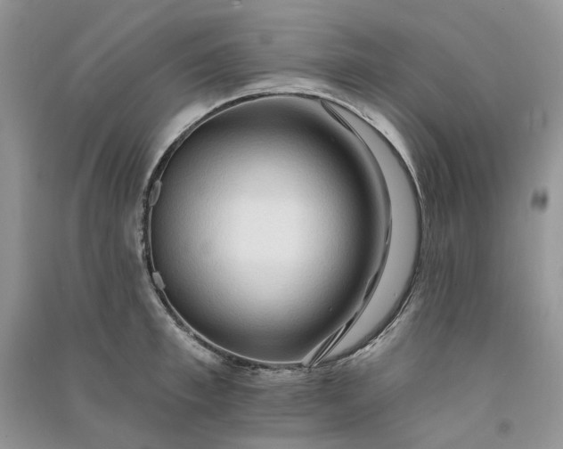 X0000090910997200708131409