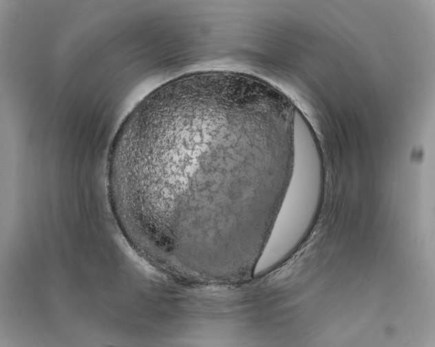 X0000090910998200708131409