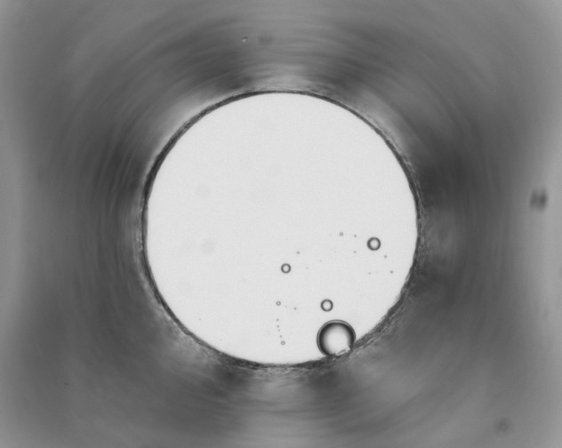 X0000090911000200708131409