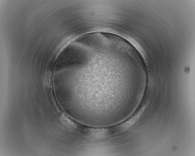 X0000090911001200708131409