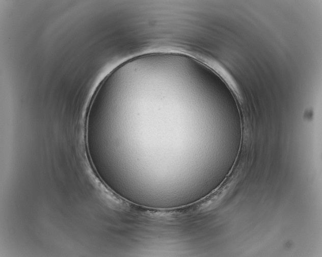 X0000090911004200708131409