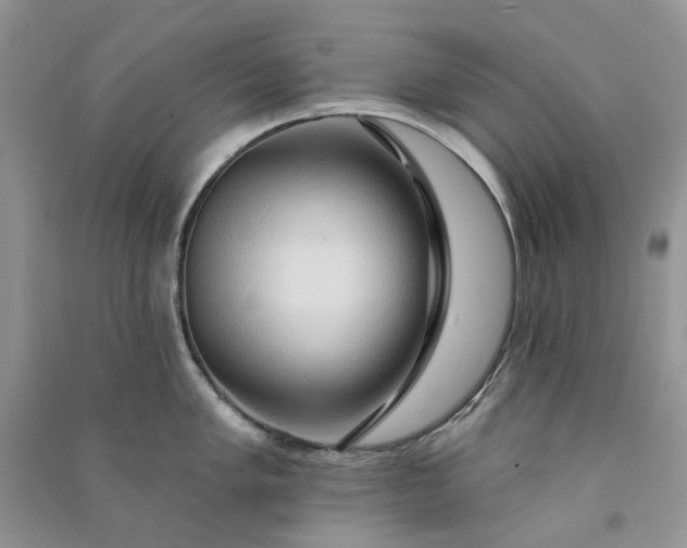 X0000090911005200708131409