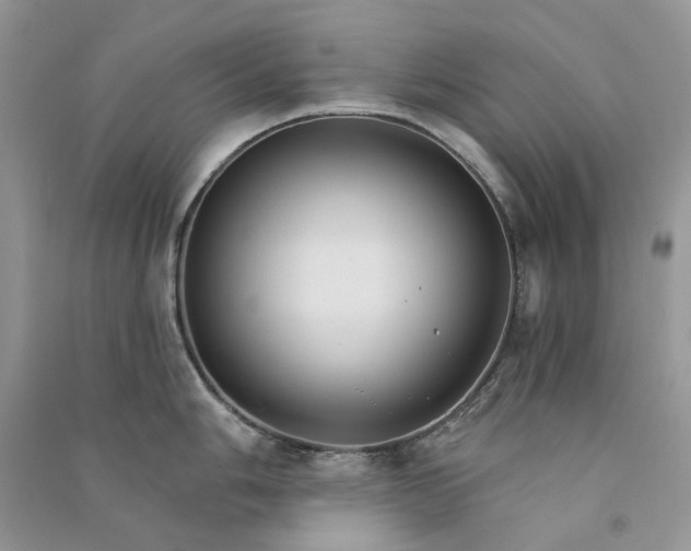 X0000090911006200708131409