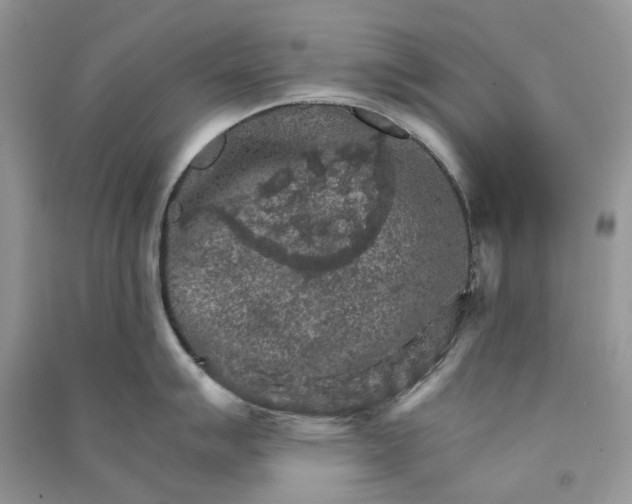 X0000090911007200708131409