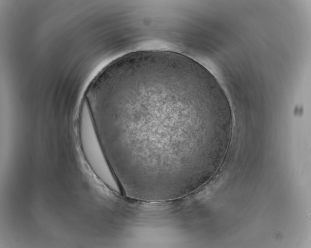 X0000090911008200708131409