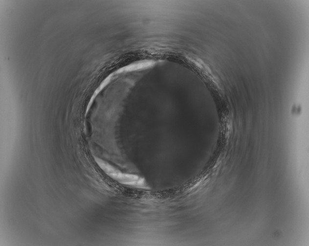 X0000090911009200708131408