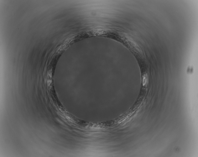 X0000090911011200708131408