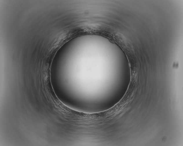 X0000090911012200708131408