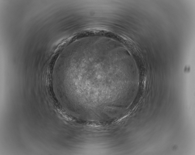 X0000090911014200708131408