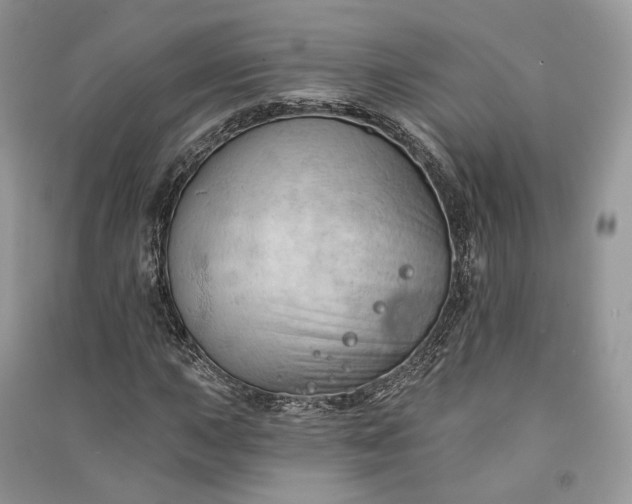 X0000090911015200708131408