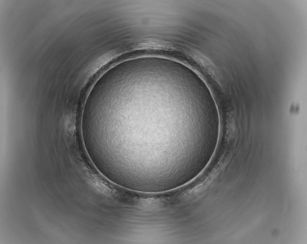 X0000090911017200708131408